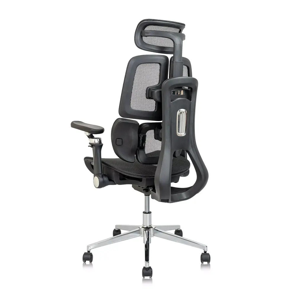 Ghế công thái học Leaf Flow Chair (Black - Mới, Full box, Chính hãng)