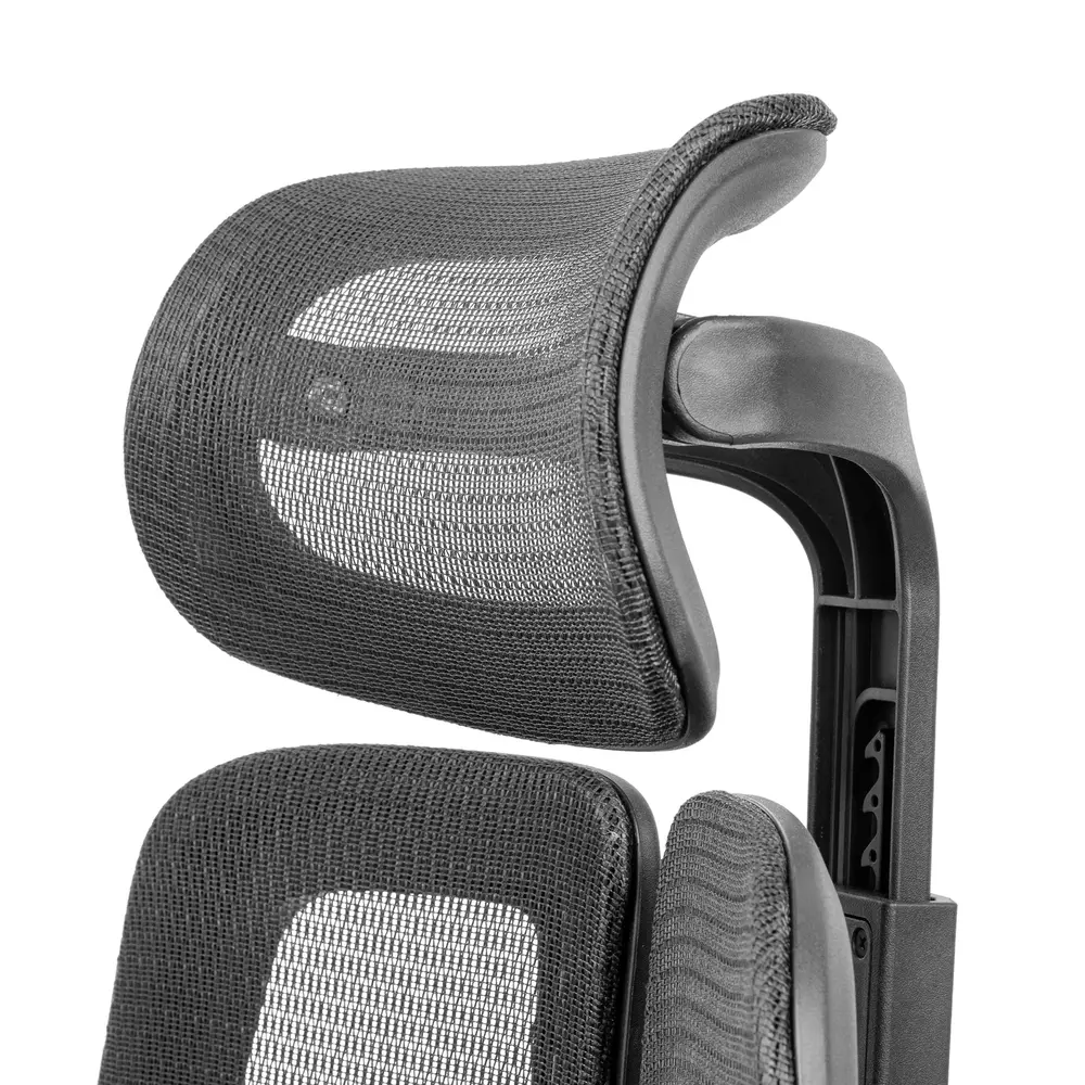 Ghế công thái học Leaf Flow Chair (Black - Mới, Full box, Chính hãng)