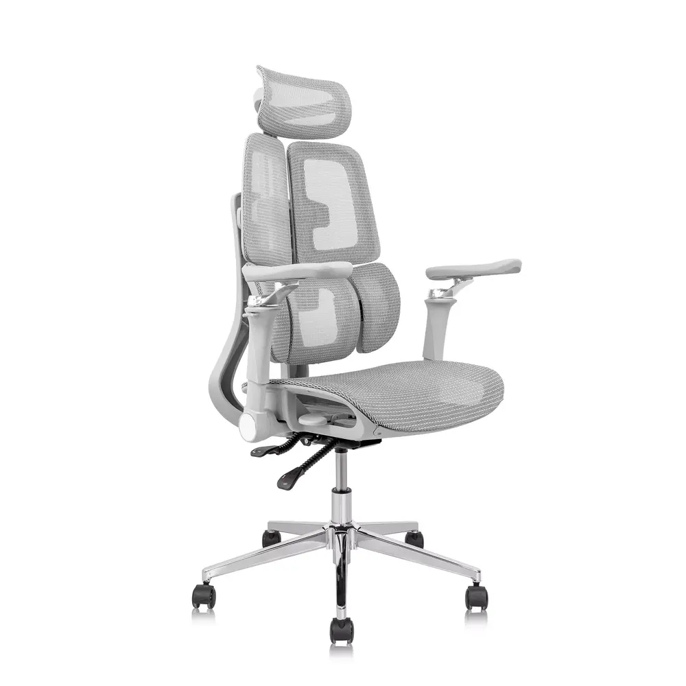 Ghế công thái học Leaf Flow Chair (All Grey - Mới, Full box, Chính hãng)