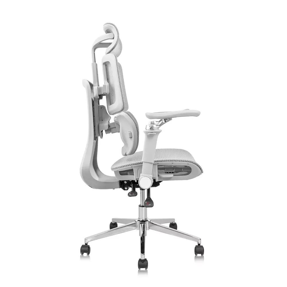 Ghế công thái học Leaf Flow Chair (All Grey - Mới, Full box, Chính hãng)