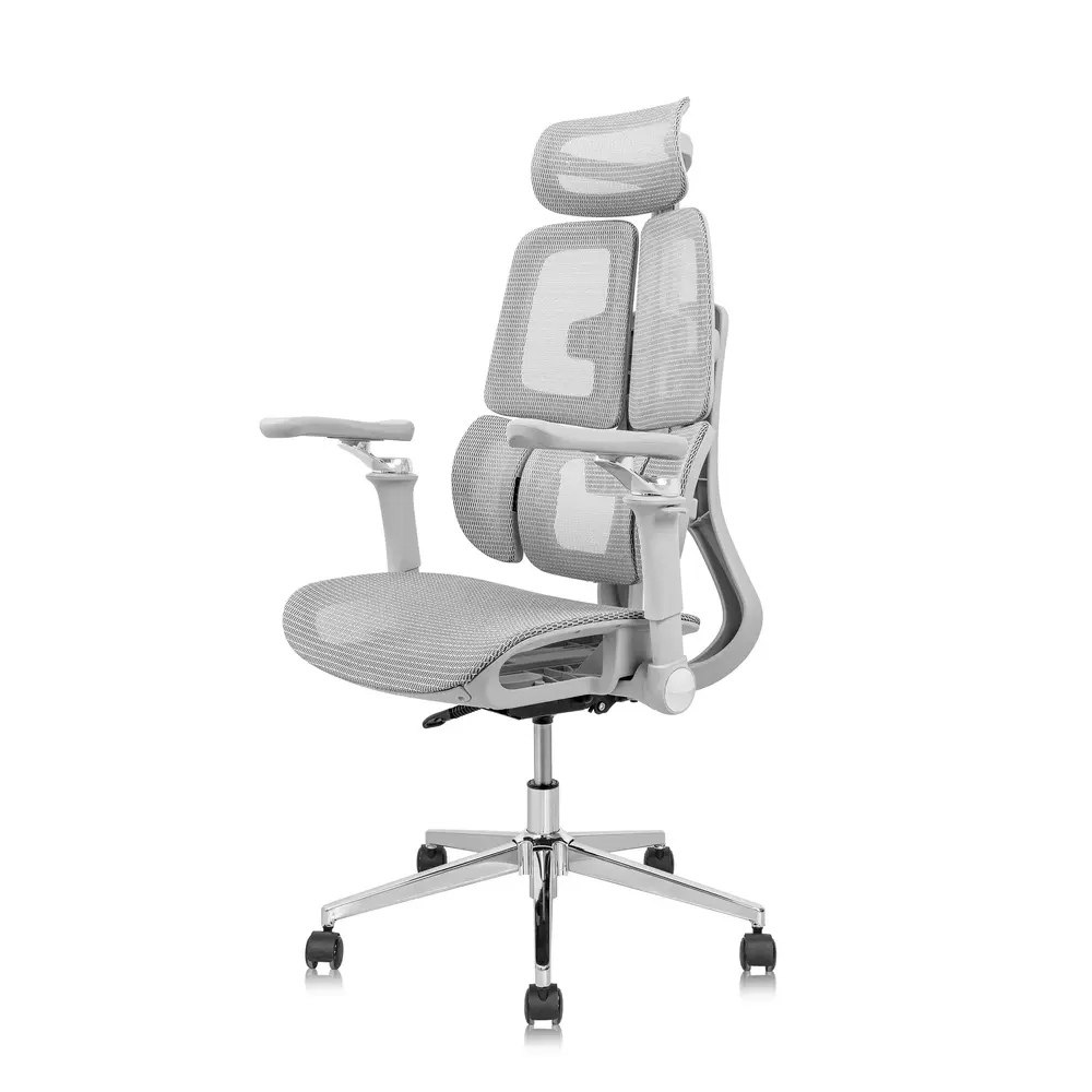 Ghế công thái học Leaf Flow Chair (All Grey - Mới, Full box, Chính hãng)