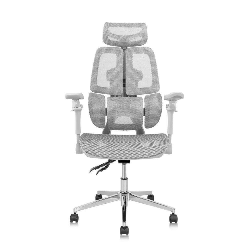 Ghế công thái học Leaf Flow Chair (All Grey - Mới, Full box, Chính hãng)