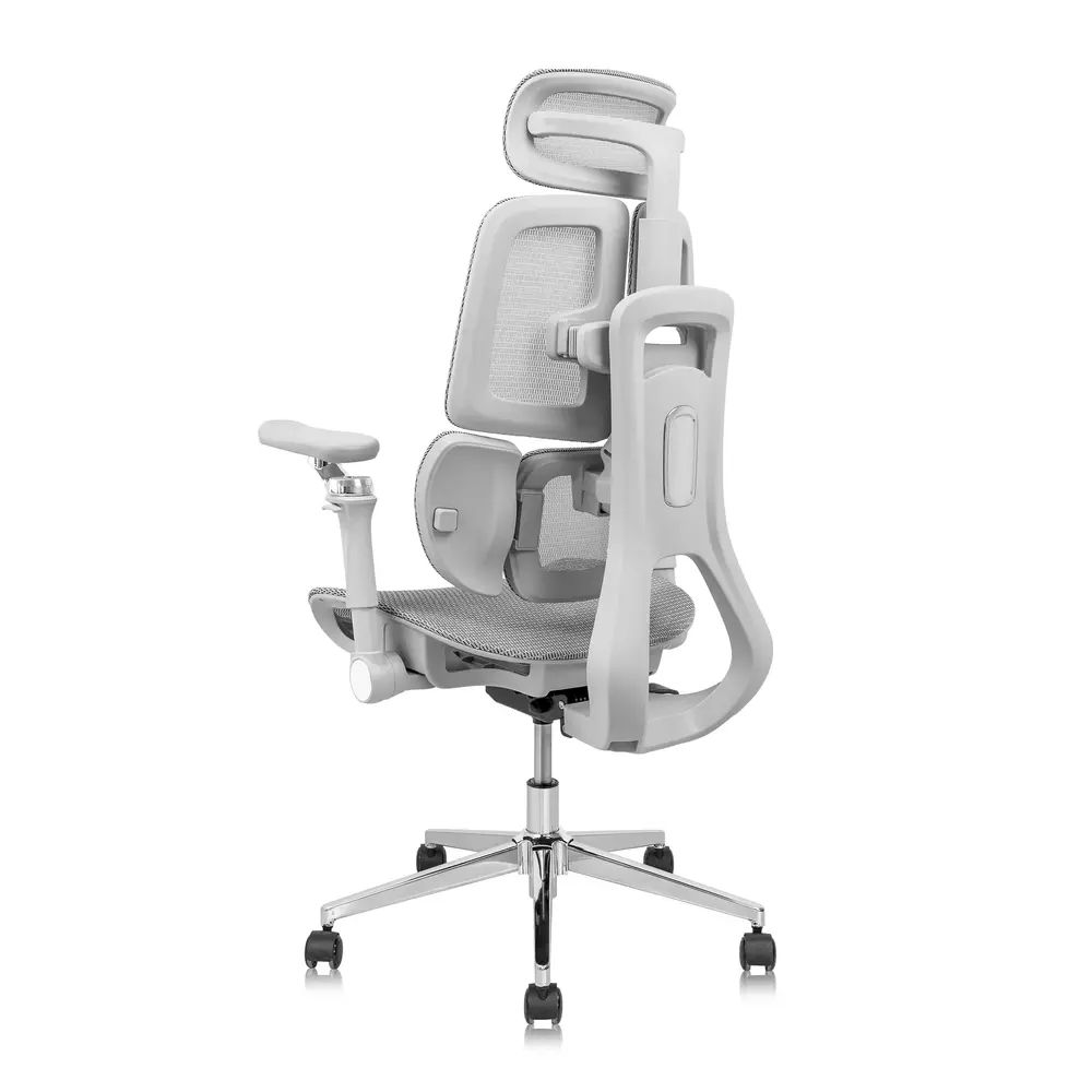 Ghế công thái học Leaf Flow Chair (All Grey - Mới, Full box, Chính hãng)