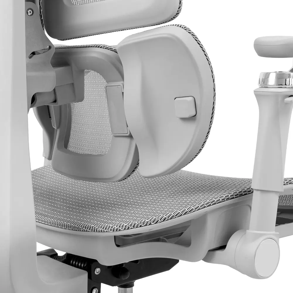 Ghế công thái học Leaf Flow Chair (All Grey - Mới, Full box, Chính hãng)