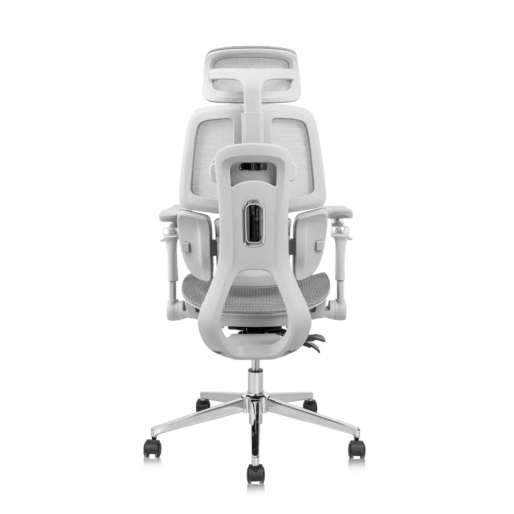 Ghế công thái học Leaf Flow Chair (All Grey - Mới, Full box, Chính hãng)