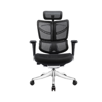 Ghế công thái học Vchair Evolution (Black - Mới, Full box, Chính hãng)