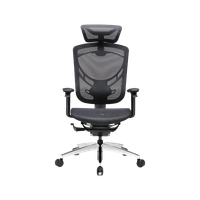 Ghế Công Thái Học GT Chair Dvary Ivino Gen II (Graphite Black - Mới, Full box, Chính hãng)