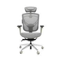 Ghế Công Thái Học GT Chair Dvary Ivino Gen II (Steam Engine - Mới, Full box, Chính hãng)