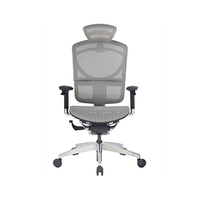 Ghế Công Thái Học GT Chair Dvary I-see X (Gray - Mới, Full box, Chính hãng)