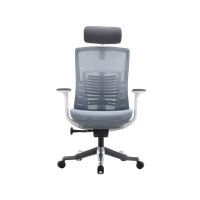 Ghế Công Thái Học Sihoo M93C (Ice Blue - Mới, Full box, Chính hãng)