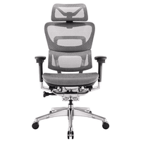 Ghế Công Thái Học Ergonomic Fly (Pro - Gray - Mới, Full box, Chính hãng)