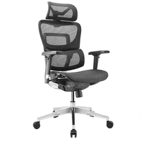 Ghế Công Thái Học Ergonomic Fly (Lite - Black - Mới, Full box, Chính hãng)