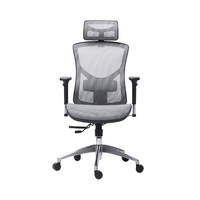 Ghế Công Thái Học Manson Vera (Lưới Wintex - Grey - Mới, Full box, Chính hãng)