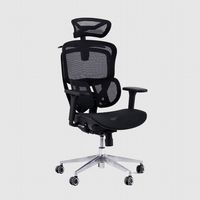 Ghế Công Thái Học GAMI Crom (Không Kèm Kê Chân - All Black - Mới, Full box, Chính hãng)