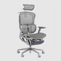 Ghế Công Thái Học Gami Crom Pro (Kèm Kê Chân - Grey - Mới, Full box, Chính hãng)