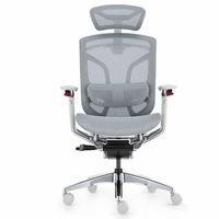 Ghế Công Thái Học GT Chair Dvary Butterfly Pro (Pro - Gray - Mới, Full box, Nhập khẩu)