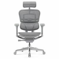 Ghế Công Thái Học Ergohuman Elite Gen 2 (Gray - Mới, Full box, Nhập khẩu)