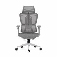 Ghế Công Thái Học Upgen Nexus (Không kèm kê chân - Gray - Mới, Full box, Chính hãng)