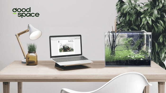 10+ ý tưởng setup góc làm việc với laptop