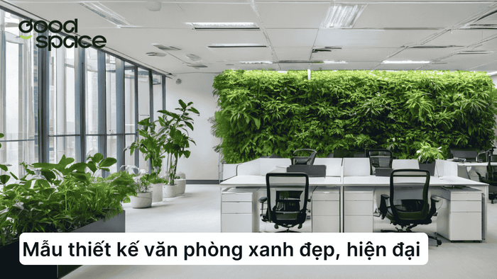 20 mẫu thiết kế văn phòng xanh đẹp, hiện đại 2025