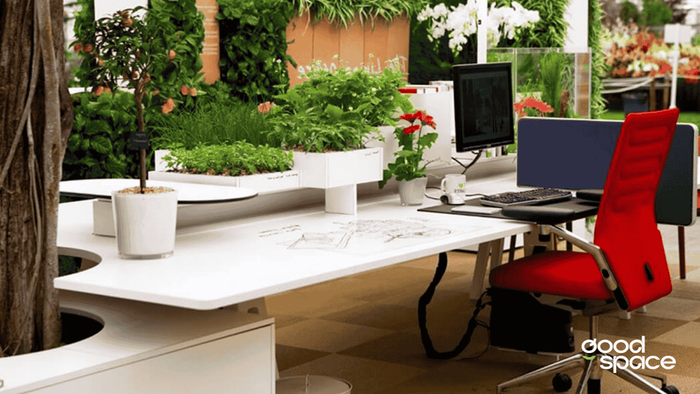 Bí kíp bố trí nội thất văn phòng đẹp, khoa học và chuyên nghiệp