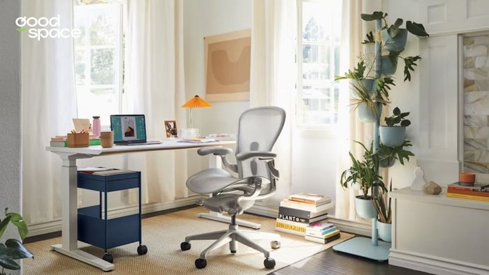 Ghế Herman Miller của nước nào? Có tốt không? Mua ở đâu?