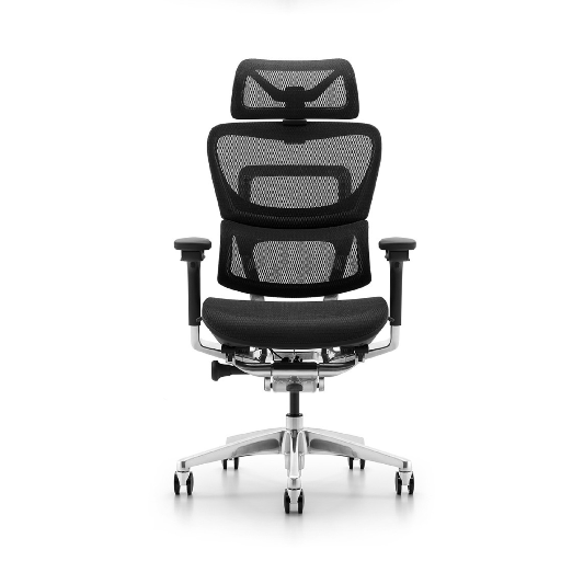 Ghế Công Thái Học Ergonomic Fly Pro