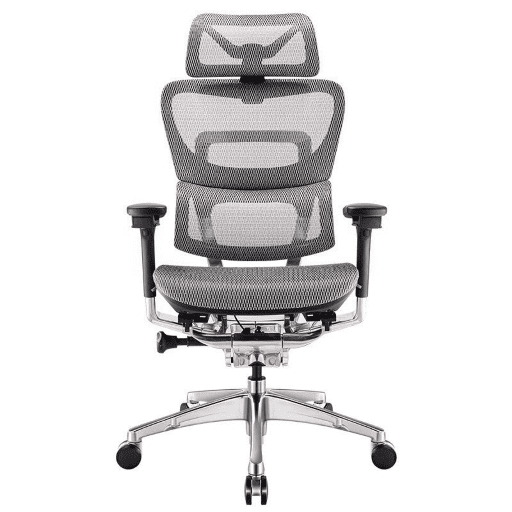 Ghế Công Thái Học Ergonomic Fly