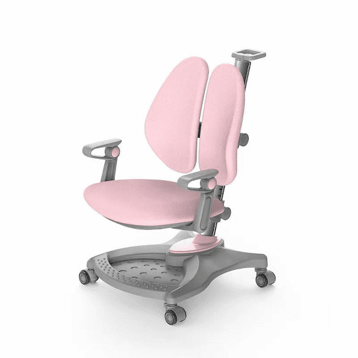 Ghế Công Thái Học Chống Gù Trẻ Em BioKids BK-01