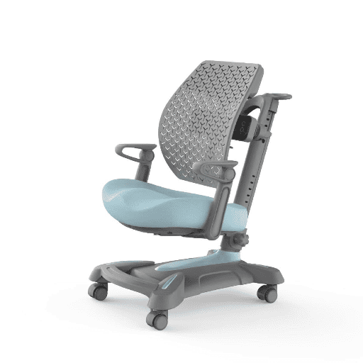 Ghế Công Thái Học Chống Gù Trẻ Em BioKids