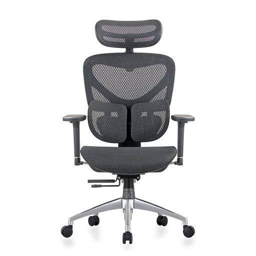 Ghế Công Thái Học Manson Iris V2