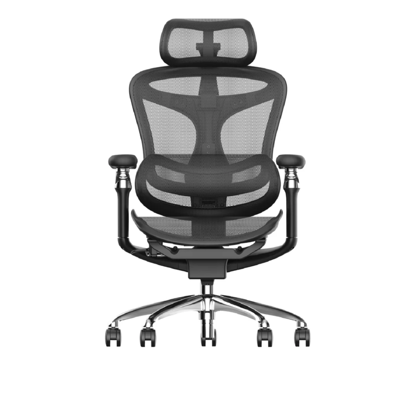 Ghế Công Thái Học Gami A3 - Doro C300