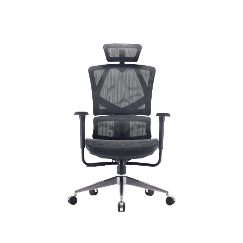 Ghế Công Thái Học Gami M90C
