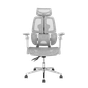 Ghế công thái học Leaf Flow Chair