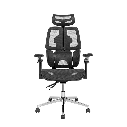 Ghế công thái học Leaf Flow Chair