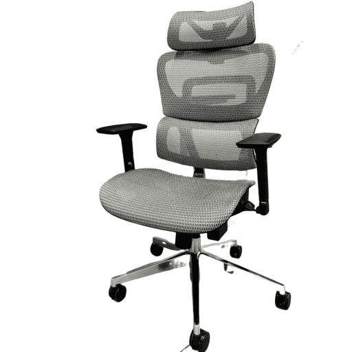 Ghế Công Thái Học Ergonomic Fly (Lite - Gray - Mới, Full box, Chính hãng)