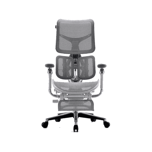 Ghế Công Thái Học Gami AU - Doro S300 (White - Grey - Mới, Full box, Chính hãng)