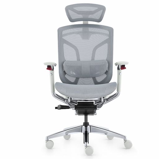 Ghế Công Thái Học GT Chair Dvary Butterfly Pro (Pro - Gray - Mới, Full box, Nhập khẩu)