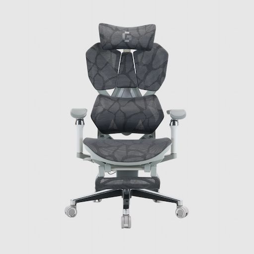 Ghế Công thái học Gami X5 Pro - Ergonomic Gaming (X5P - Grey - White - Mới, Full box, Chính hãng)