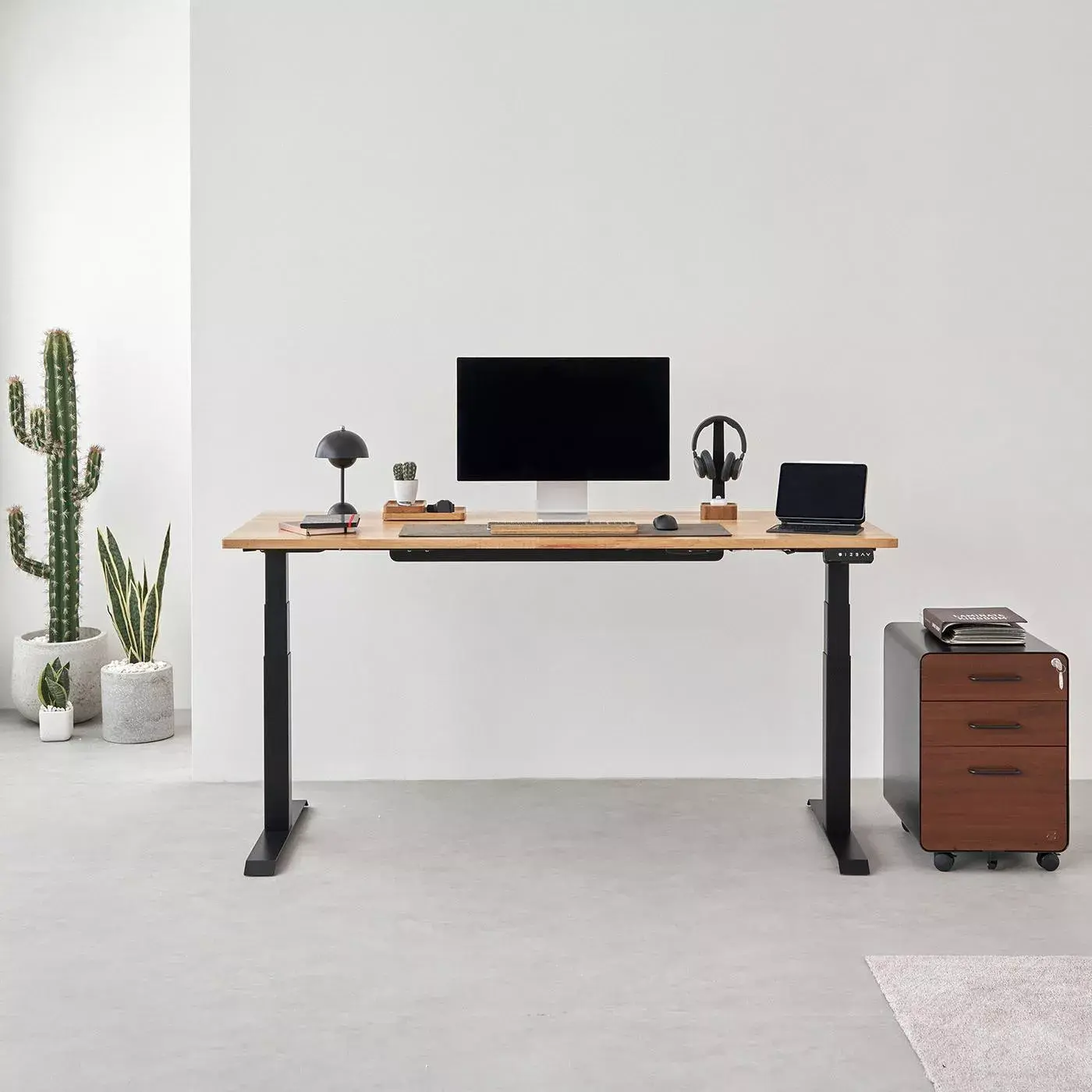 Bàn nâng hạ Taxua Fansi - By NiceDesign (Mặt bàn 160x75cm, gỗ dẻ gai, màu tự nhiên - Khung vuông đen - Mới, Full box, Chính hãng)