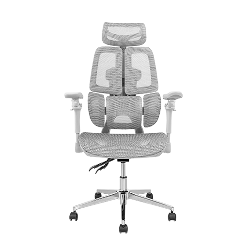 Ghế công thái học Leaf Flow Chair (All Grey - Mới, Full box, Chính hãng)