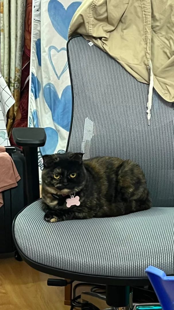 Hình ảnh từ khách hàng