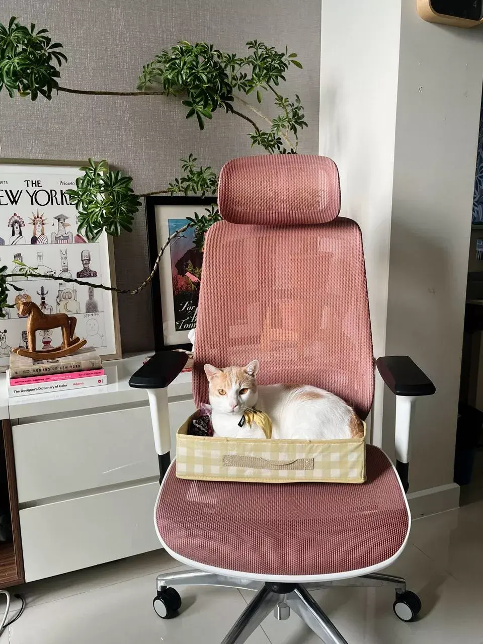 Ảnh chụp từ khách hàng
